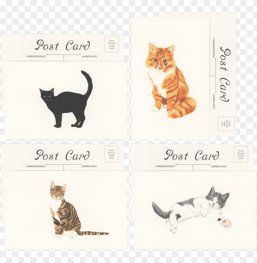 cat, illustration, animal, symbol, kitty, set, pet