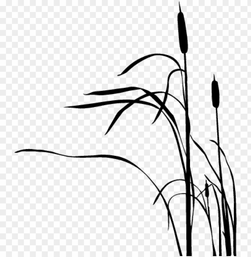 cattail silhouette at getdrawings cat tail plants silhouette PNG transparent with Clear Background ID 199529