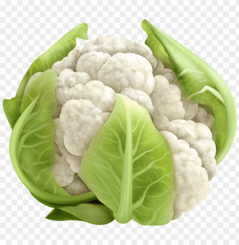 Transparent Cauliflower PNG Background - Image ID 50232