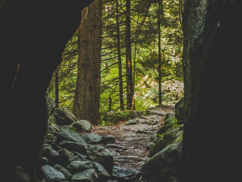 cave, forest, trees, stones, path