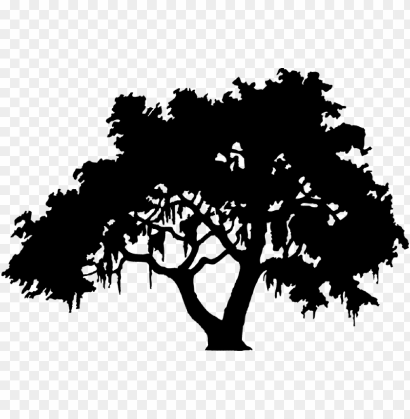 free PNG cavin harper speaks at live oaks center pawley's island - live oak tree silhouette PNG image with transparent background PNG images transparent
