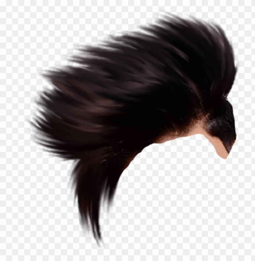 cb editing hair PNG image with transparent background | TOPpng