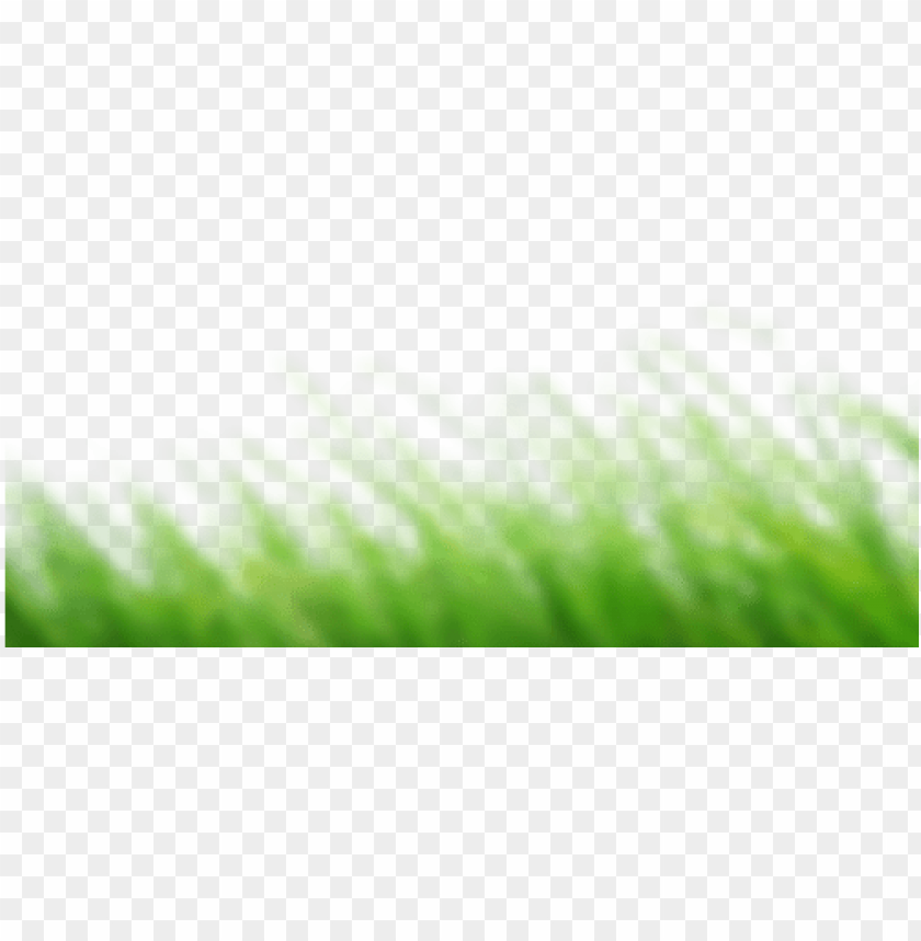 cb edits grass PNG image with transparent background | TOPpng