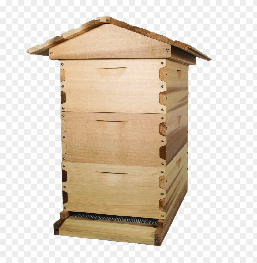 animals, insects, beehives, cedar wood beehive, 
