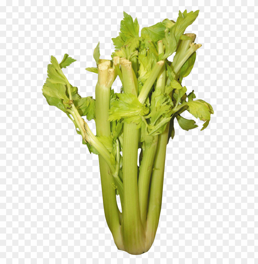 
vegetables
, 
celery
