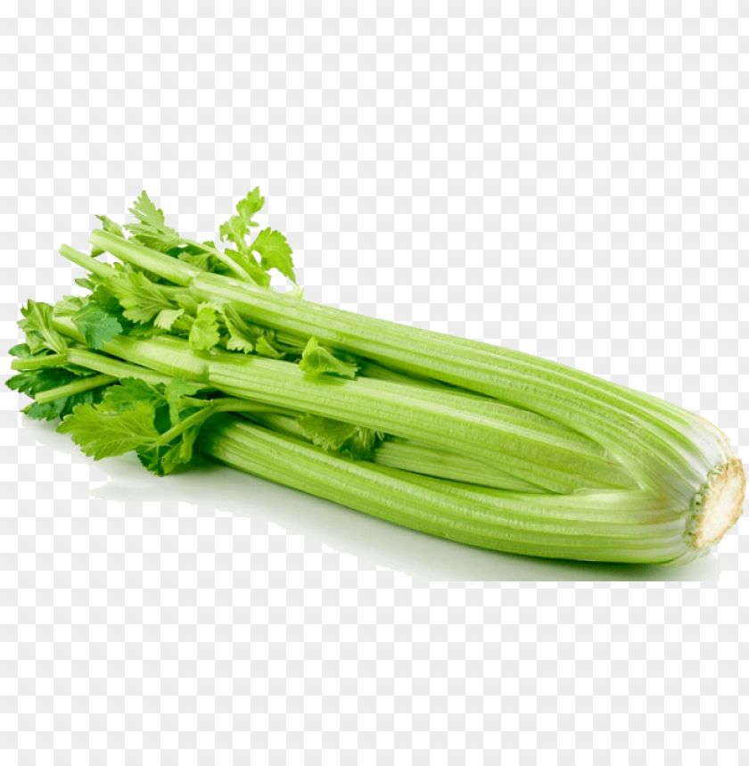 celery, stock photo