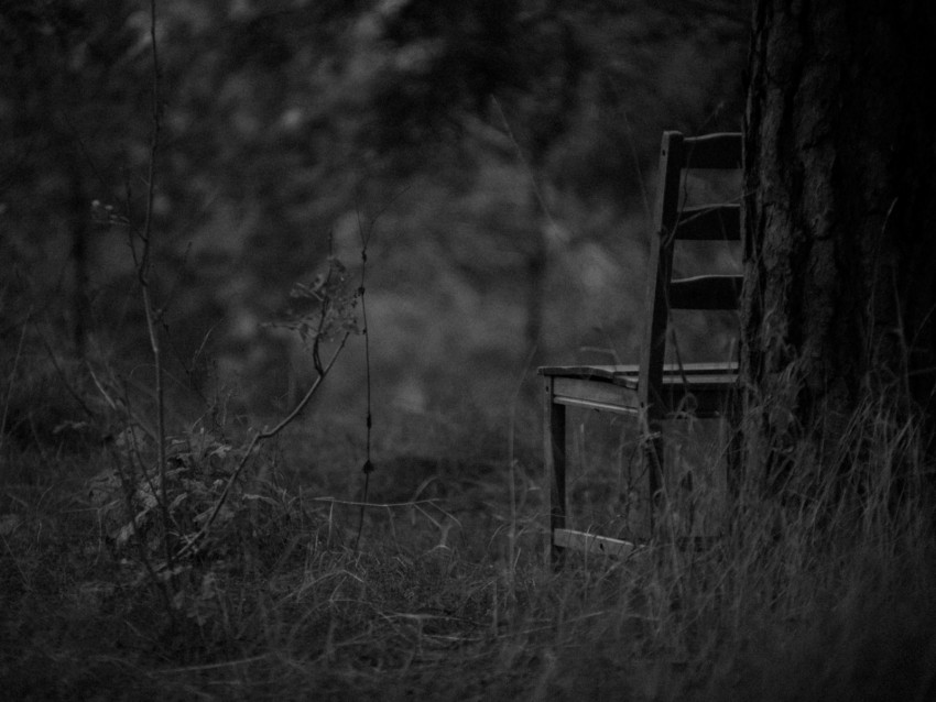 chair, bw, forest, grass, gloomy