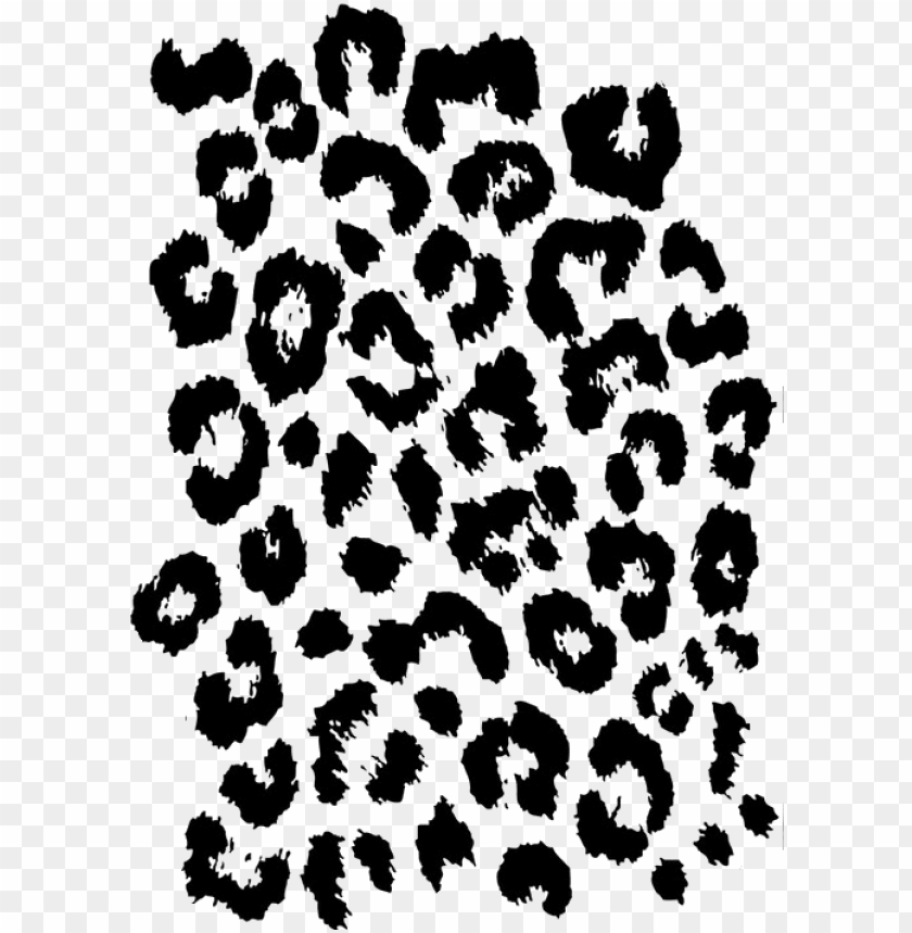 Leopard print square stencil high quality Vector Image