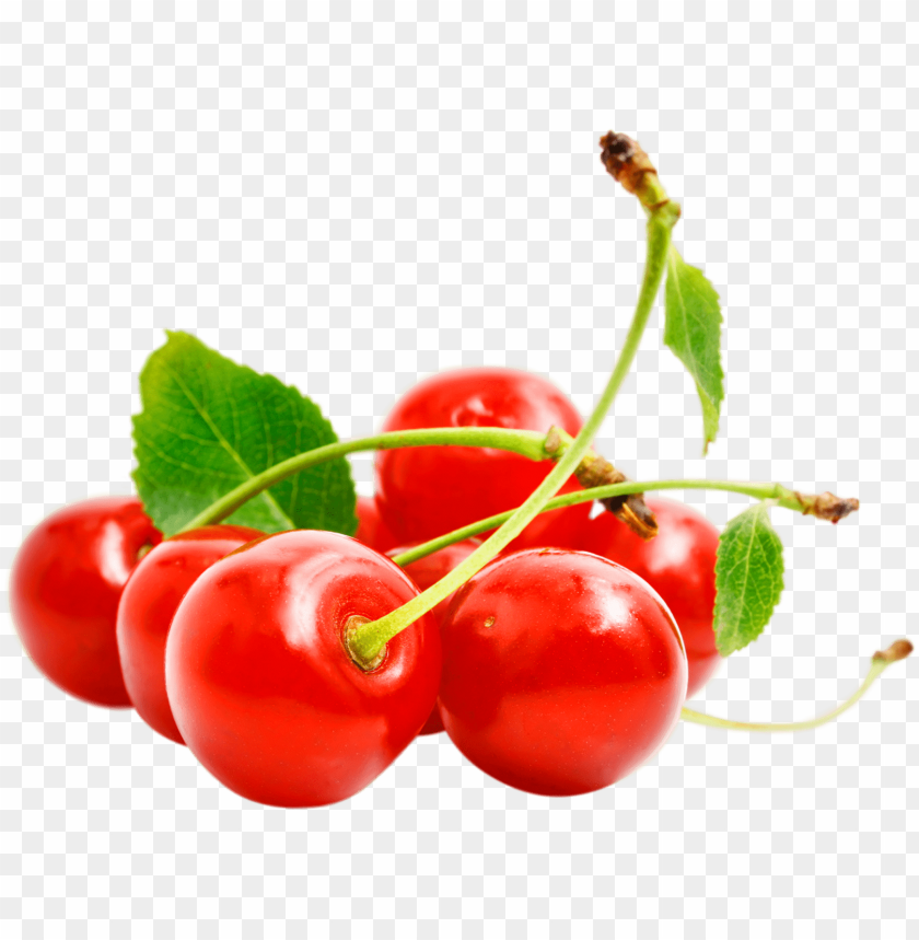 
cherry
, 
genus prunus
, 
sweet cherry
, 
, 
ornamental cherry
, 
cherry blossom
, 
cherries
