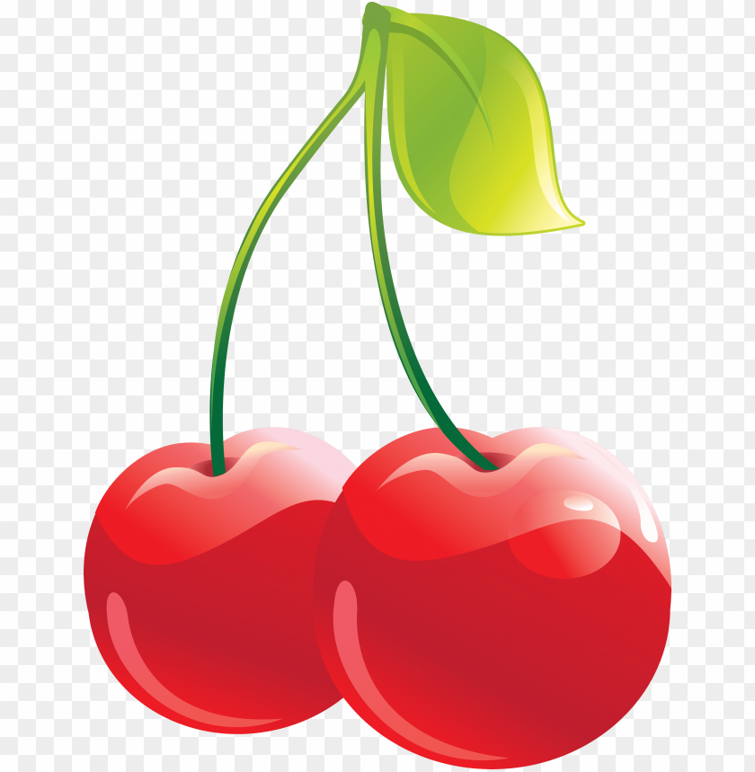 
cherry
, 
genus prunus
, 
sweet cherry
, 
, 
ornamental cherry
, 
cherry blossom
, 
cherries
