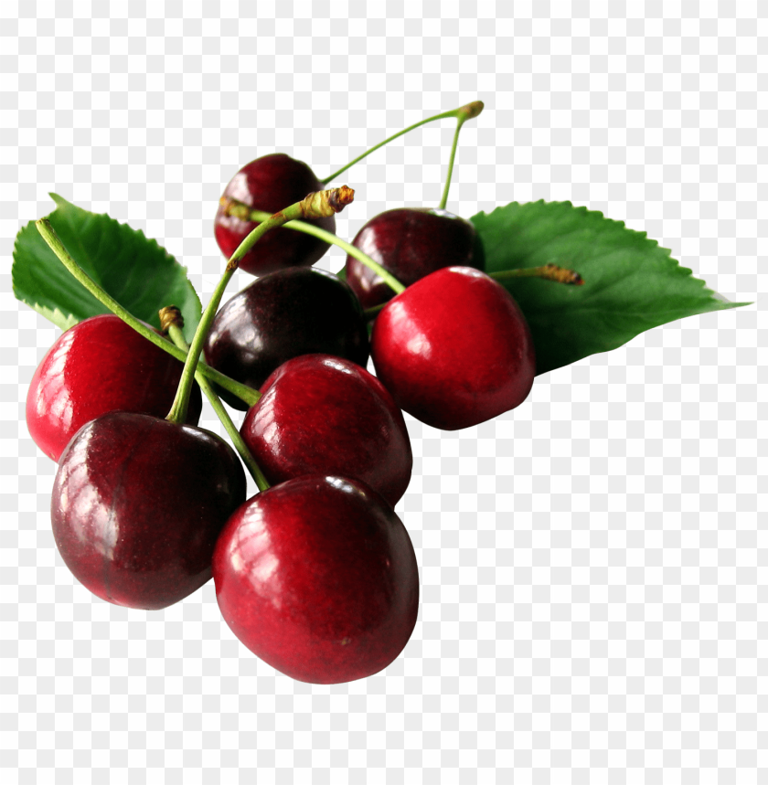 
fruits
, 
cherry
