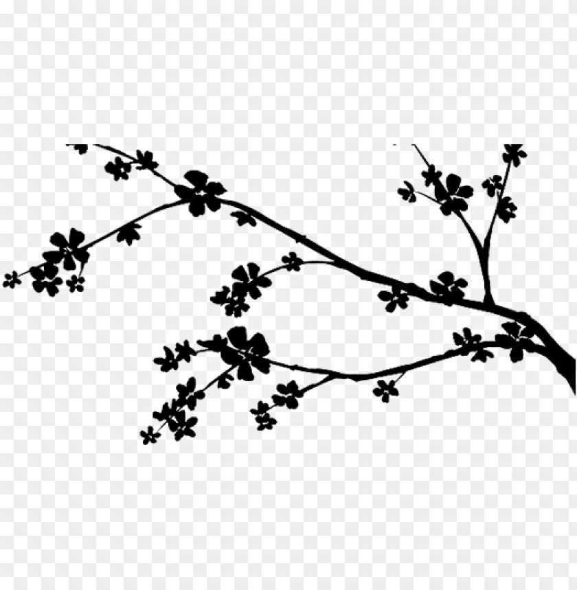 Cherry Blossom Branch Perfect Cherry Blossom Png Image With Transparent Background Toppng