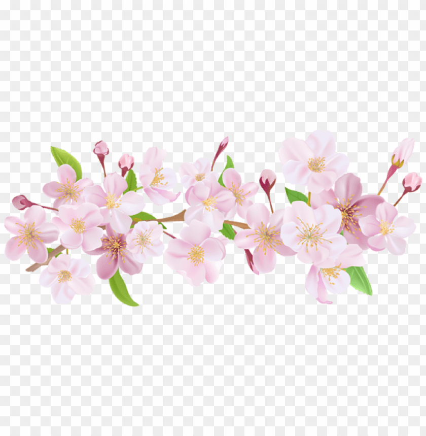 PNG image of cherry blossom spring branch png with a clear background - Image ID 47153
