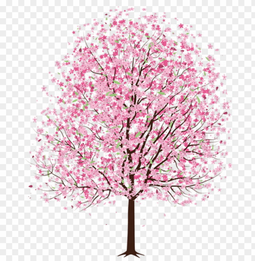 free PNG cherry blossom tree, cherry blossom drawing, cherry - tree with pink flowers drawi PNG image with transparent background PNG images transparent