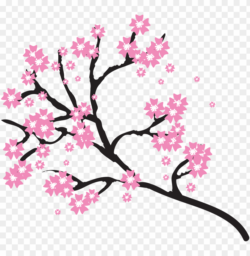 free PNG cherry blossoms png - transparent background cherry blossom clipart PNG image with transparent background PNG images transparent