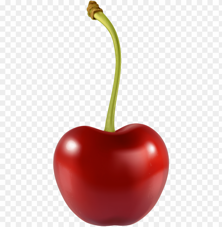 free PNG cherry png best web - cherry PNG image with transparent background PNG images transparent