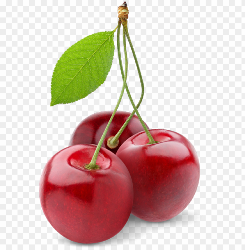 cherry png picture cheri fruits PNG transparent with Clear Background ID 231156