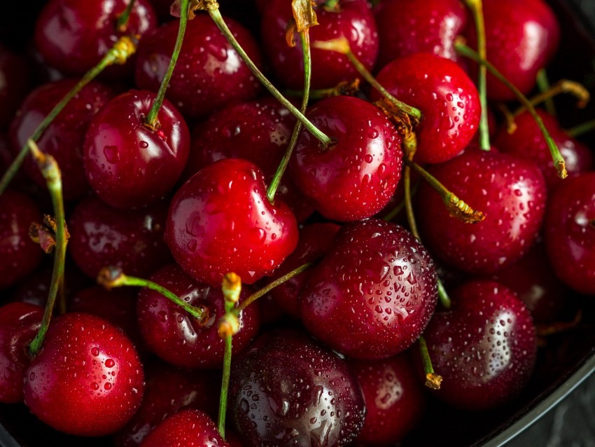 cherry, ripe, wet, berries, harvest, red, drops
