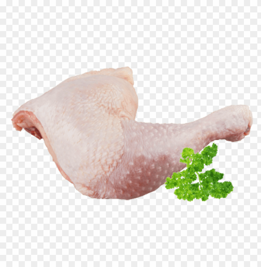 chicken leg png, chicken,png,leg,chickenleg