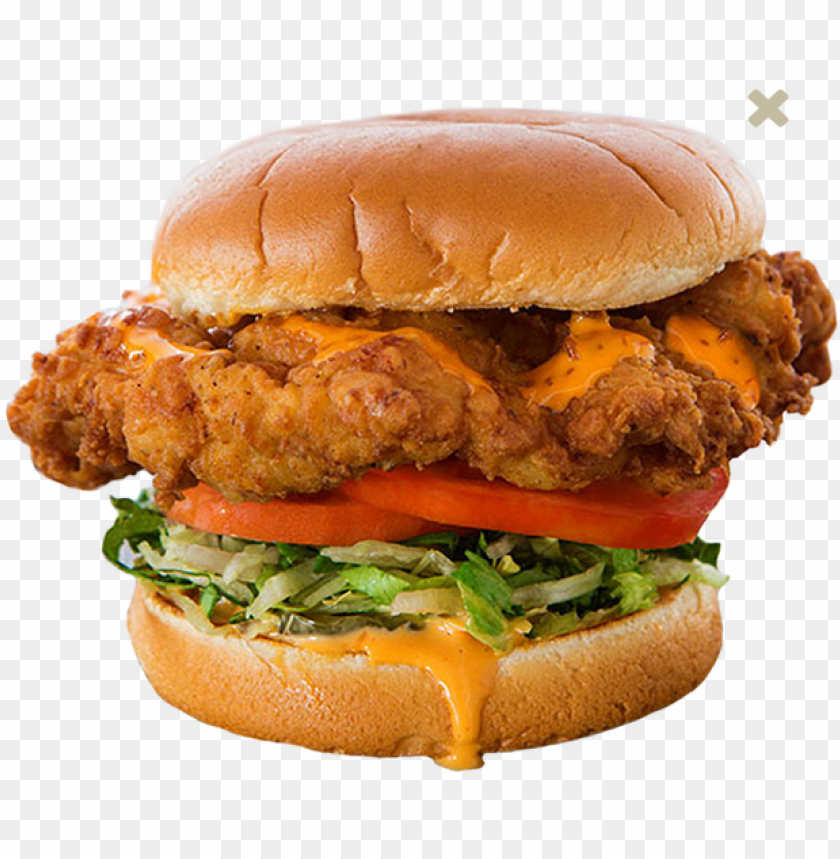 free PNG chicken sandwich photo - golden fried chicken sandwich habit PNG image with transparent background PNG images transparent