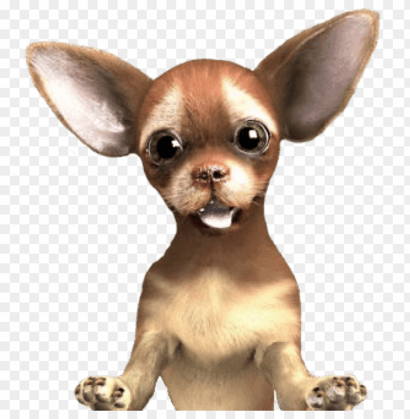 free PNG Download chihuahua close up png images background PNG images transparent