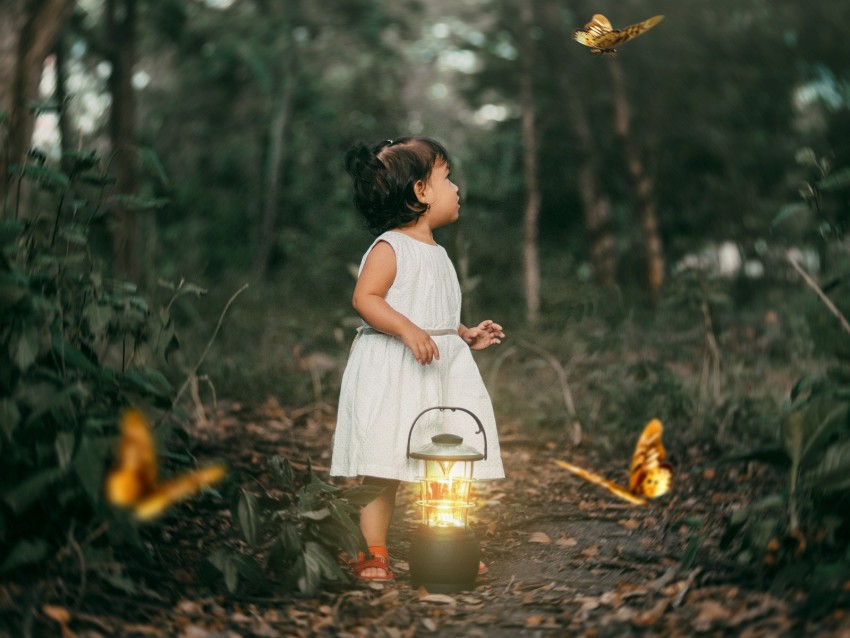 child, butterflies, lantern, forest, path