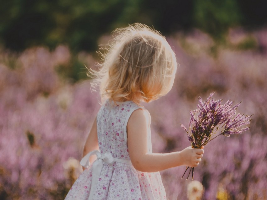 child, flowers, lavender, bouquet, field