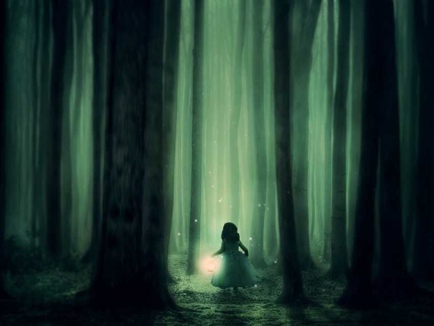 child, forest, fog, night, fabulous, lantern, walk