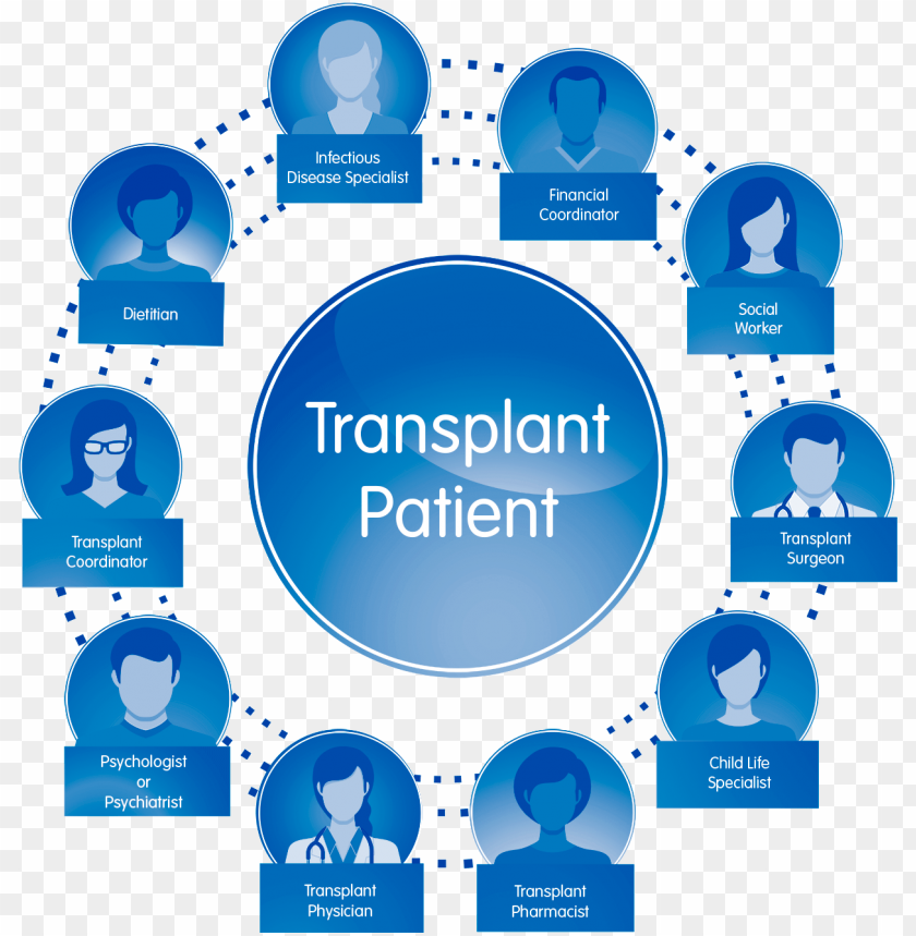 childrens mercy transplant team diagram PNG transparent with Clear Background ID 431252