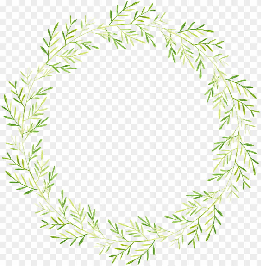 chili green leaf cartoon transparent - watercolor vines wreath transparent  background PNG image with transparent background | TOPpng
