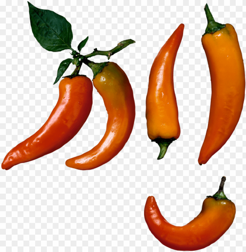 pepper, chili, food, bell pepper, hot, black pepper, vegetable