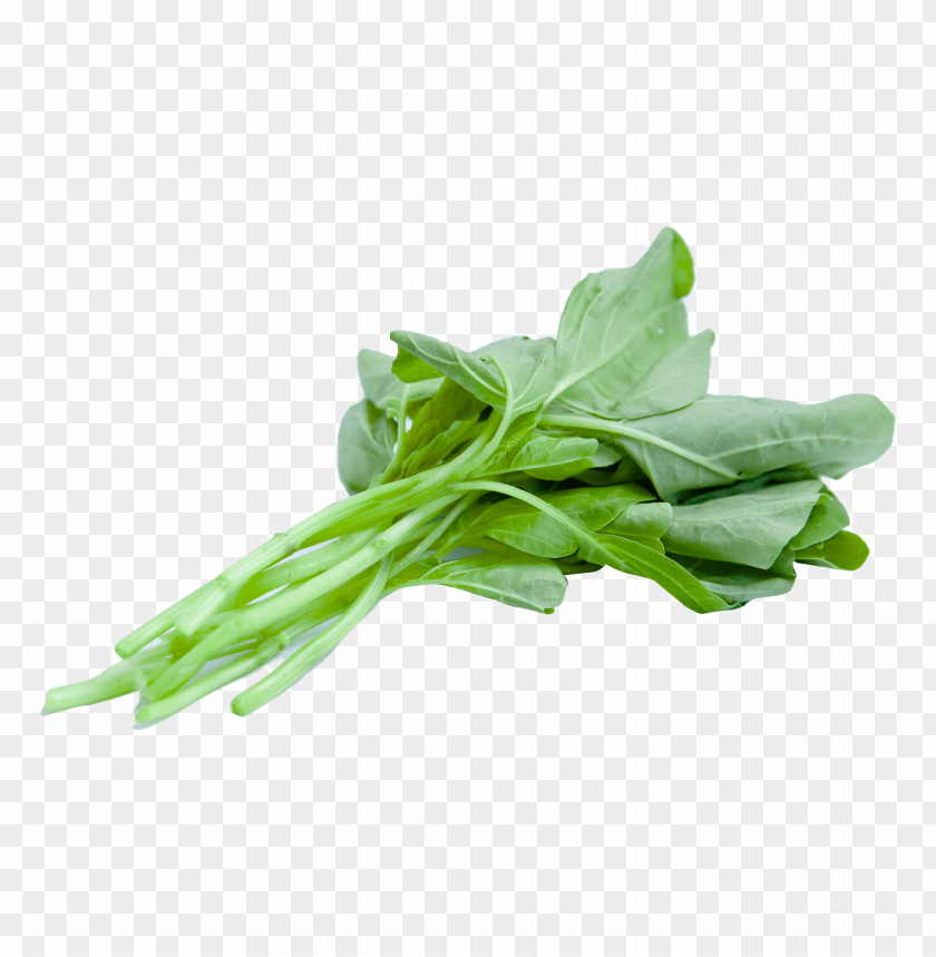 chinese spinach PNG images with transparent backgrounds - Image ID 13356