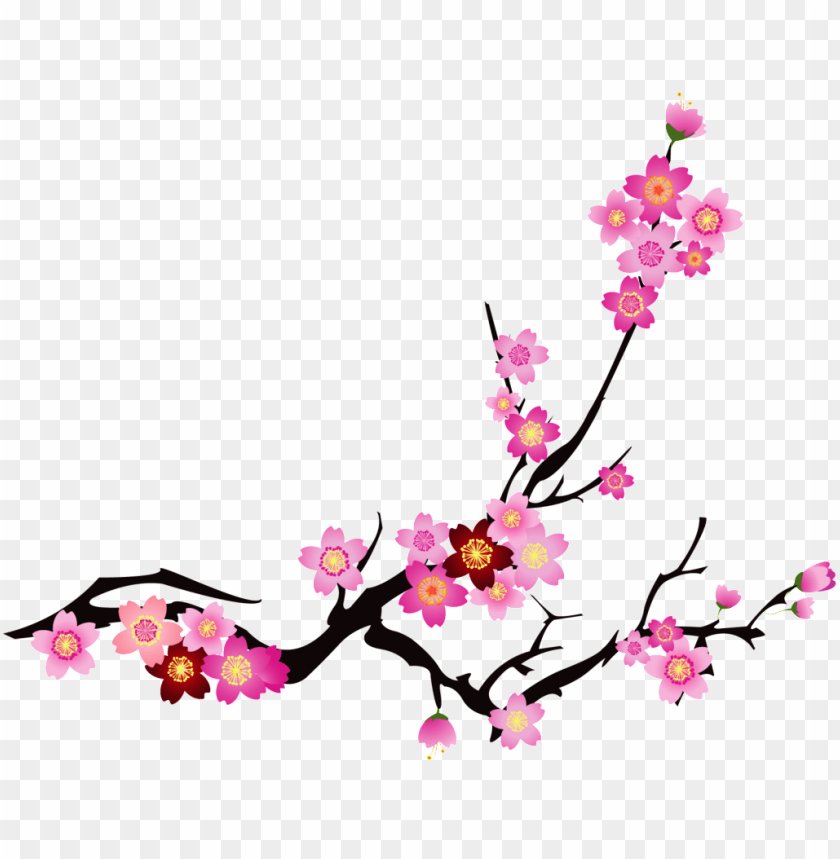 china, banner, petals, vector design, fruit, flower vector, plants