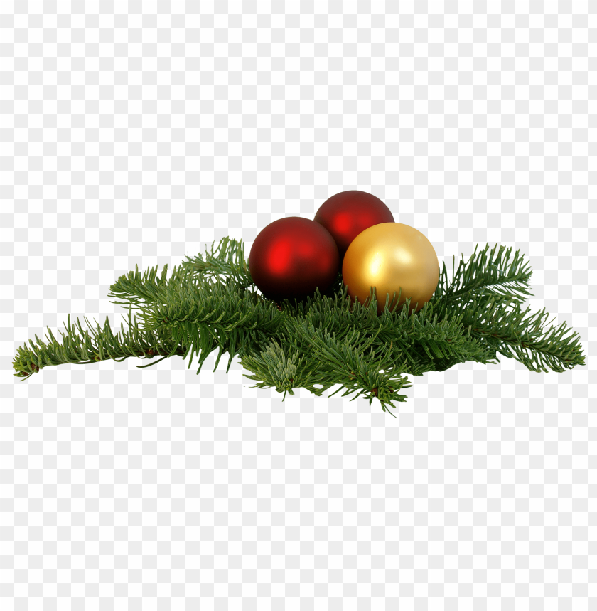 Transparent Background PNG of christmas branch - Image ID 25553