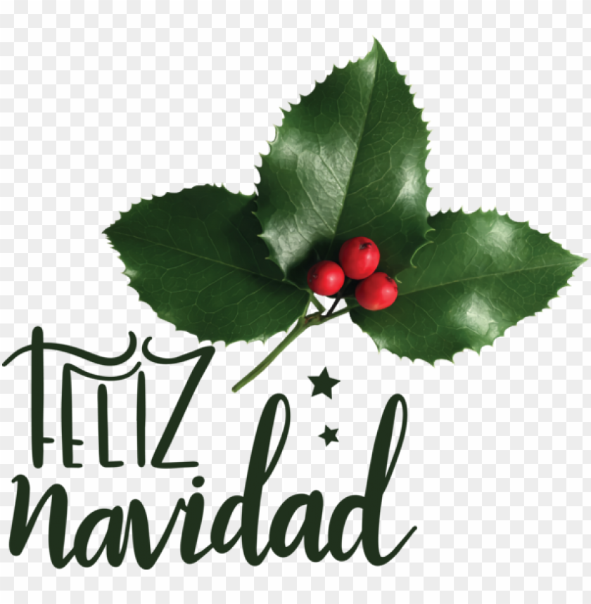 christmas christmas day mothers day santa claus for feliz navidad for christmas PNG transparent with Clear Background ID 474016