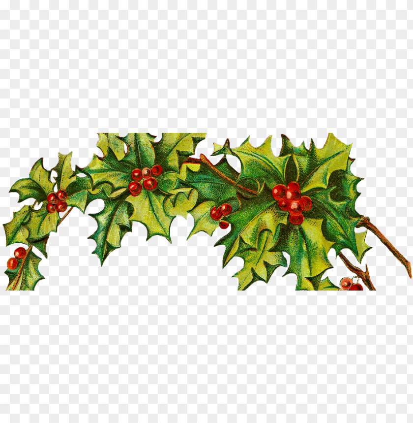 holiday, background, christmas tree, holi, christmas background, celebration, santa