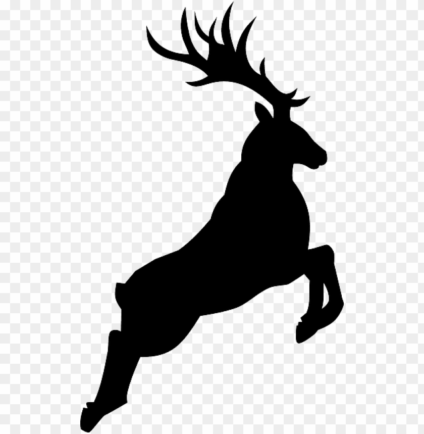 deer silhouette, whitetail deer, deer head, deer antler, deer, deer head silhouette