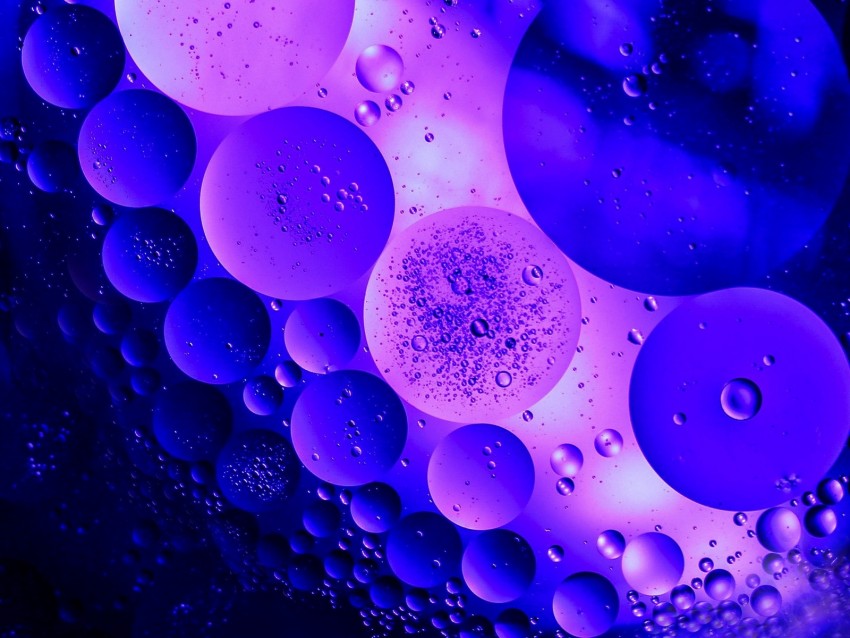 circles, bubbles, purple, macro, shape, dark