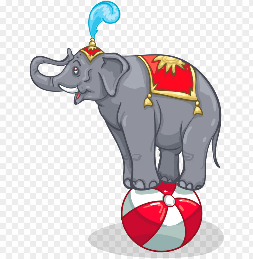 free PNG circus elephant - circus elephant on ball PNG image with transparent background PNG images transparent