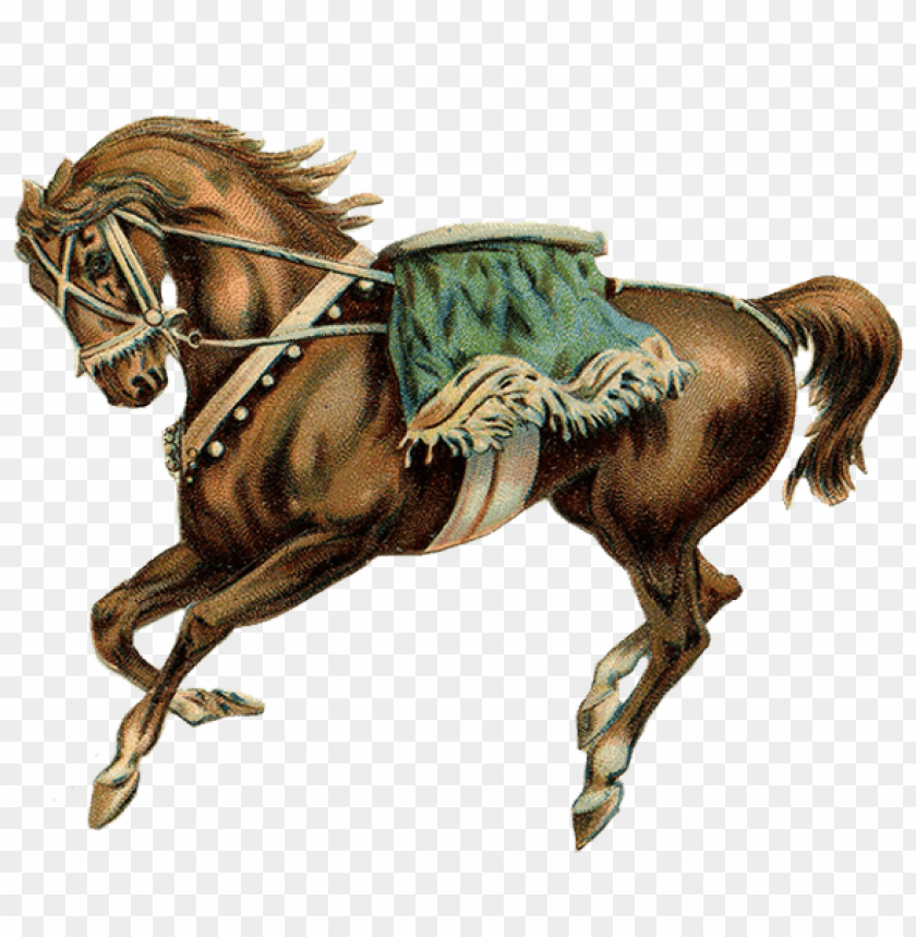 animals, horses, circus horse green saddle, 