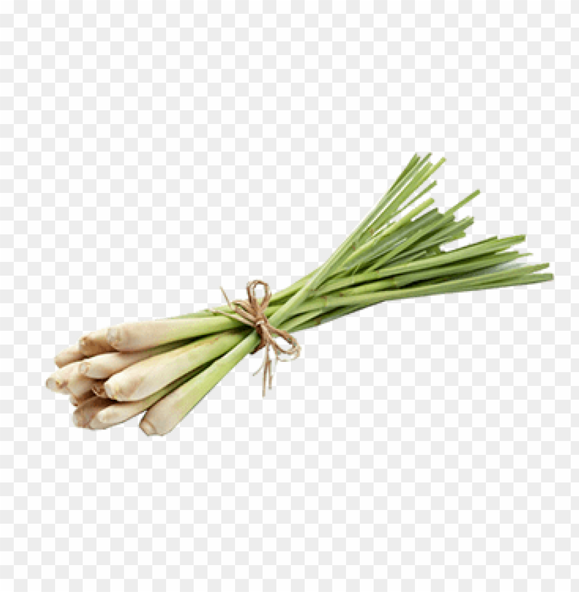 Citronella PNG Image With Transparent Background