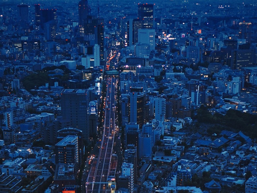 city, aerial view, evening, architecture, overview, tokyo, japan