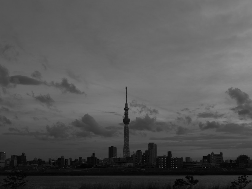 city, buildings, bw, tower, architecture, river, panorama