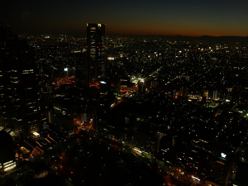 city, evening, lights, metropolis, shinjuku, tokyo, japan