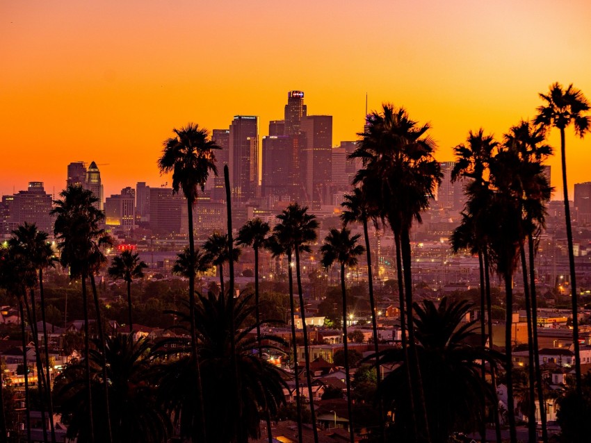city, palm trees, sunset, buildings, skyscrapers, los angeles png ...