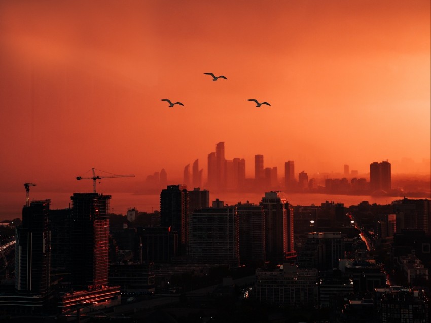city, sunset, aerial view, dusk, buildings, birds