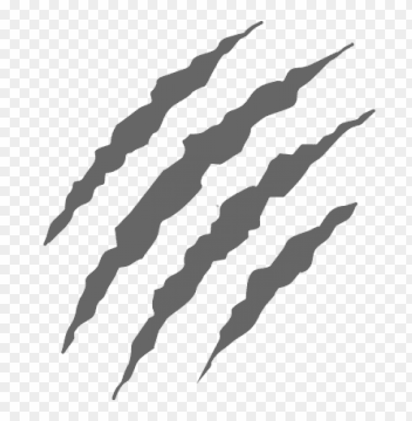 claws grey scratch PNG image with transparent background.