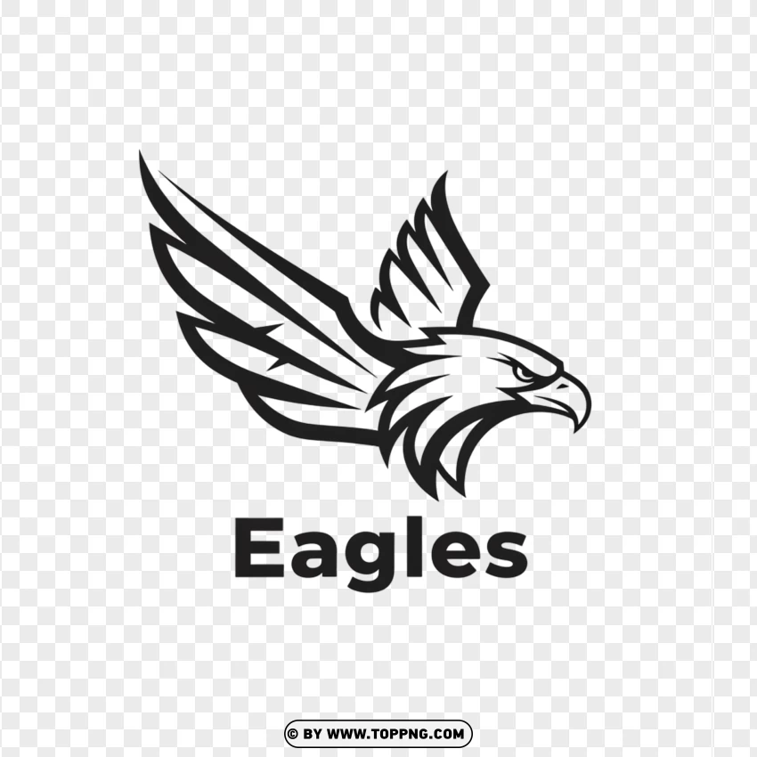 A clean line art logo of a simplified eagle in flight, with the phrase 'Eagles Team' next to it.