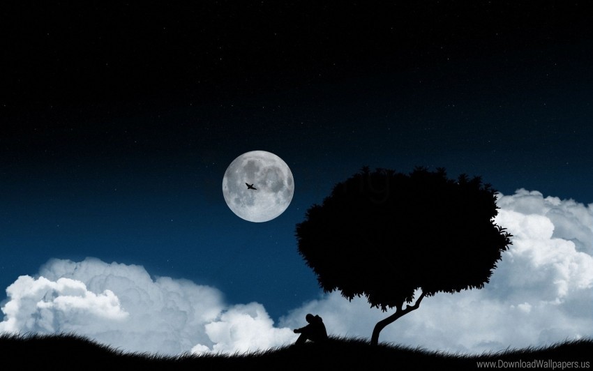 clearing, dark, night, sky, solitude, tree wallpaper background best stock  photos | TOPpng