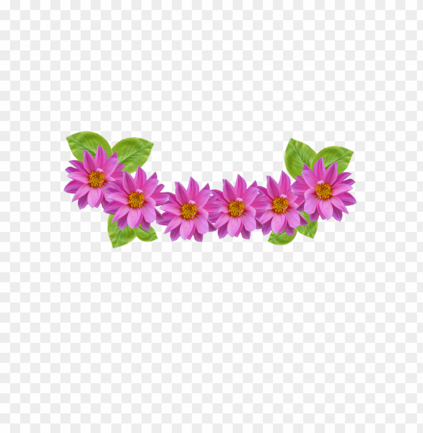 clip are flower crown, flowercrown,flower,clip,crown
